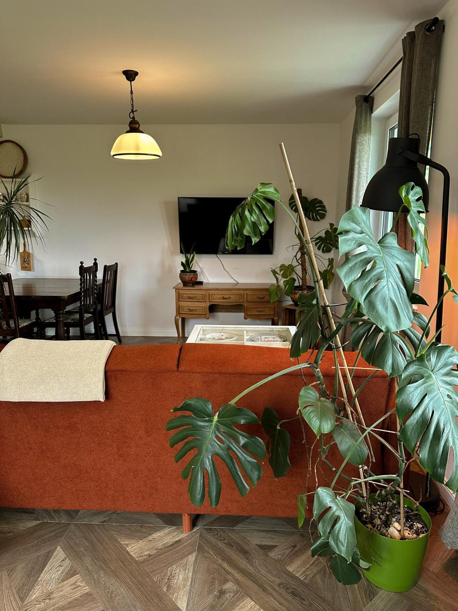 Lawendowy Raj Apartment Pilchowice Bagian luar foto